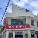 제육한상 - 춘천시 영서로 2865 | [맛집추천] 양정밥집 얼렁뚱땡이 양정본점 제육한상 내돈내산후기