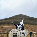 곰배령 길목에서 | 인제 점봉산 곰배령 다녀왔어요(예약방법, 주차 등 후기)
