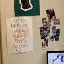 유림-1116 이미지