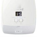 스텔라이 이미지