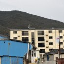 번영슈퍼 | 강원도 정선 파크로쉬 맛집 번영수퍼 내돈내산 솔직후기