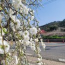 도화 민박 이미지