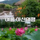충남건재 - 해남군 산정1길 10 | 여름에 꼭 가야할 아산여행지 능소화 핀 외암민속마을 & 연꽃 절정 신정호 충남여행 추천