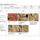 [#13] 5월11일 [친환경보호제 만들기(1차) 실습-텃밭관리-고구마모종] 2조 최민자 이미지