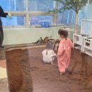 대구 다사 실내 아이 모래놀이 미술 체험 대실역 안녕 곰고미