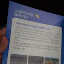 대패꽃 피는날 이미지