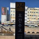 꽃보다 소 양구점 | 역사와 예술이 스며든 도심 산책