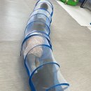 쌍봉초교병설유치원 이미지