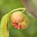 영암농장 이미지