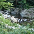 감나무민박 이미지