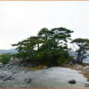 달빛풍경 이미지