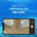 스마트지식in | 투명하고 맑게! 핸드폰 방수팩 갤럭시 아이폰 휴대폰 스마트폰 방수팩 크로스 힙색 내돈내산 대만족 후기