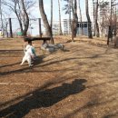 마들스타디움 이미지