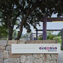 별빛정원 - 평창군 버들개길 80-9 | 이천 별빛정원 우주 야간 조명 정원 내돈내산 후기 | 경기도 데이트 야경 명소