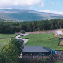 밭다실농원 | (제주도 가볼 만한 곳) 제주도 서귀다원 다녀온 후기 알려드려요