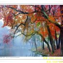 등촌2동011 이미지