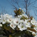 바닷가우리집 이미지