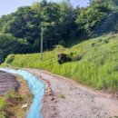 산아래농장 이미지