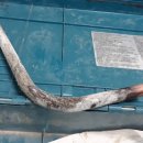 미성동-3 이미지