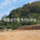 신지면-5 이미지