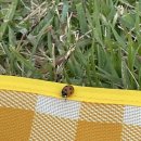 야외음악당(실외) 이미지