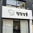 멍멍살롱 이미지