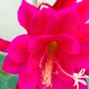 오정어울마당 이미지