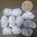 4월 13일(일) 배우겸 뮤지컬 배우인 '최대철'과 관련된 이야기 이미지