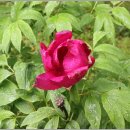 고흥이야기 이미지