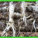 자연애농장 이미지