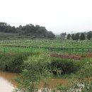 성호테크 이미지