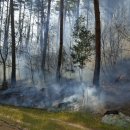 대기2리 이미지