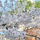 메이에르진 이미지