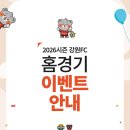 강원FC 축구경기 이미지