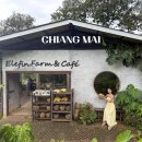 6일 식당 | 치앙마이 패키지 여행 4박6일 경비 일정 솔직 후기