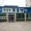 하동물병원 이미지