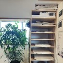 강남 박사 체육관 | 남양주원데이클래스 성인 취미 미술학원 이덴 스튜디오 아크릴화 체험 후기