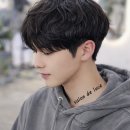 살롱드루체 네이버블로그