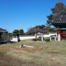 오동선(요골) Daum카페