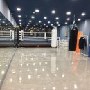 더 복싱(THE BOXING) 이미지