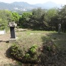 김흥근 선생 묘 이미지