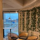 올리앤 커피 김해점 이미지