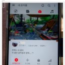 피스넷