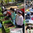 버들초등학교 병설유치원 이미지