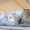 INFORMATION 이미지