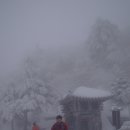 기를품은 이미지