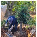 박실농장 이미지