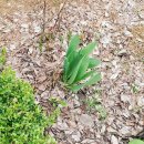 신원로1 이미지