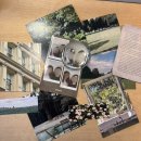 주식회사 부창 | 2025 여름, 서울 여행(문도 픽사,푸에르자부르타,서울숲,해방촌,성수)