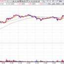 서전시스템 이미지